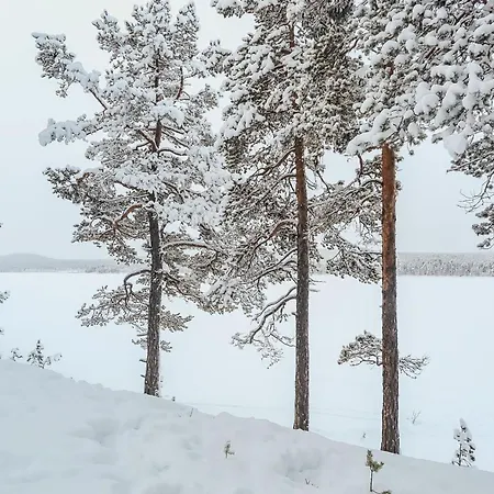 Hébergement de vacances Lemmenliekki 3 By Interhome *