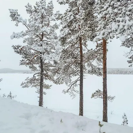 Lemmenliekki 3 By Interhome Lemmenjoki