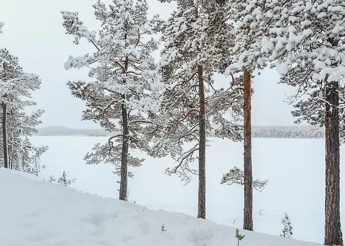 Σπίτι διακοπών Lemmenliekki 3 By Interhome *